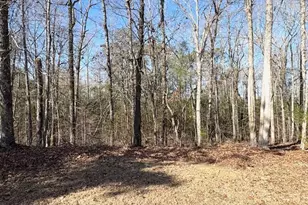 764 Hagans Mountain Rd, Meansville, GA 30256 - Photo 29