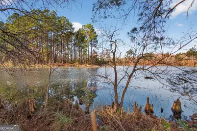 105 Edgewater Court, Statesboro, GA 30461 - Photo 33