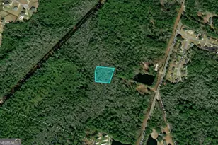 1 17 Acres Elam Rd, Hinesville, GA 31313 - Photo 1