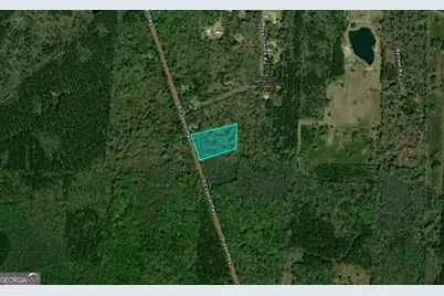 5.8 Acres S Coastal Highway, Riceboro, GA 31323 - Photo 1
