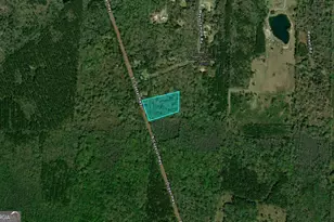 5 8 Acres S Coastal Hwy, Riceboro, GA 31323 - Photo 1