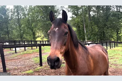 423 Debord Drive LOT #2, Waleska, GA 30183 - Photo 9