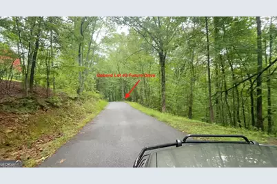 423 Debord Drive LOT #2, Waleska, GA 30183 - Photo 19