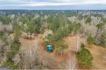 241 Foskey Cemetary Road, Adrian, GA 31002 - Photo 59