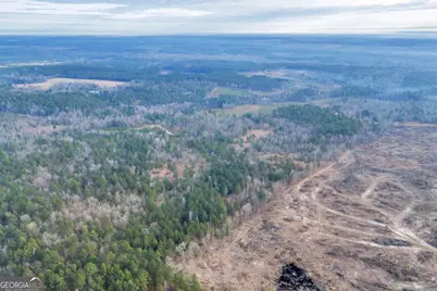 241 Foskey Cemetary Road, Adrian, GA 31002 - Photo 7