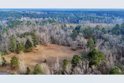241 Foskey Cemetary Road, Adrian, GA 31002 - Photo 21