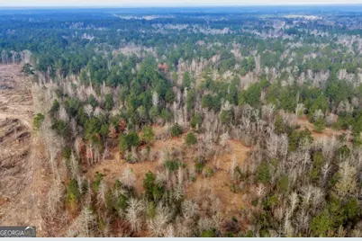 241 Foskey Cemetary Road, Adrian, GA 31002 - Photo 11