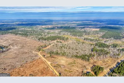 241 Foskey Cemetary Road, Adrian, GA 31002 - Photo 33