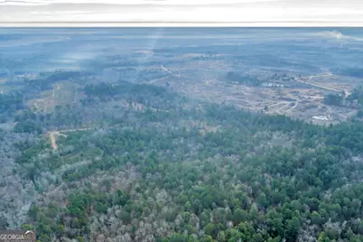 241 Foskey Cemetary Road, Adrian, GA 31002 - Photo 9