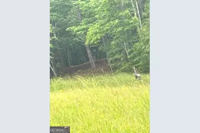 387 Debord Drive LOT #3, Waleska, GA 30183 - Photo 11