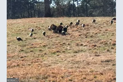 387 Debord Drive LOT #3, Waleska, GA 30183 - Photo 7