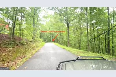 387 Debord Drive LOT #3, Waleska, GA 30183 - Photo 29
