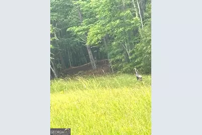 349 Debord Drive LOT #4, Waleska, GA 30183 - Photo 33