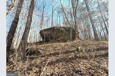 10220 Reinhardt College Parkway LOT #6, Waleska, GA 30183 - Photo 15