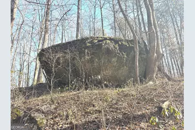 10220 Reinhardt College Parkway LOT #6, Waleska, GA 30183 - Photo 13