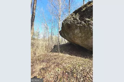 10220 Reinhardt College Parkway LOT #6, Waleska, GA 30183 - Photo 21