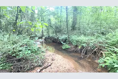 10220 Reinhardt College Parkway LOT #6, Waleska, GA 30183 - Photo 33