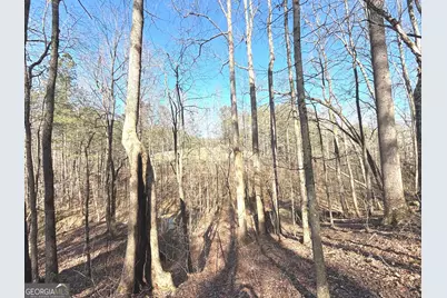 10220 Reinhardt College Parkway LOT #6, Waleska, GA 30183 - Photo 25