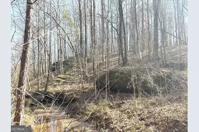 10220 Reinhardt College Parkway LOT #6, Waleska, GA 30183 - Photo 21