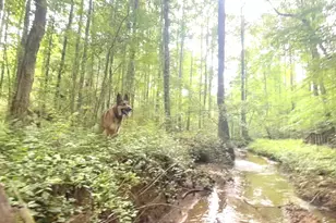 114 Addington Ln, Waleska, GA 30183 - Photo 31