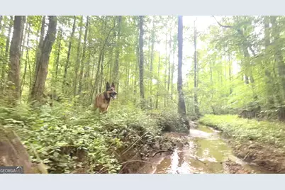 114 Addington Lane LOT #5, Waleska, GA 30183 - Photo 33
