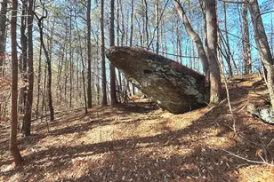 114 Addington Ln, Waleska, GA 30183 - Photo 19