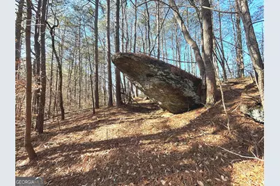 114 Addington Lane LOT #5, Waleska, GA 30183 - Photo 21