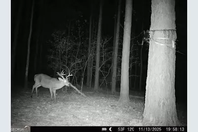 1208 Elberton Road, Lexington, GA 30648 - Photo 67