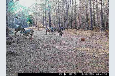 1208 Elberton Road, Lexington, GA 30648 - Photo 67