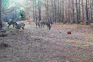 1208 Elberton Rd, Lexington, GA 30648 - Photo 67