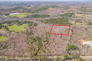 Tract2 Georgia Hwy 100, Buchanan, GA 30113 - Photo 1