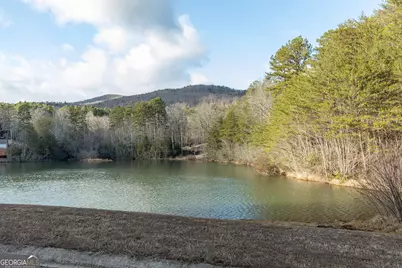 373 McIntosh Road, Clarkesville, GA 30523 - Photo 59