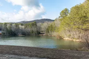 373 McIntosh Road, Clarkesville, GA 30523 - Photo 59