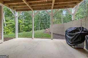 373 McIntosh Road, Clarkesville, GA 30523 - Photo 33