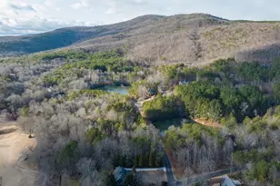 373 McIntosh Road, Clarkesville, GA 30523 - Photo 39