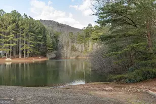 373 McIntosh Road, Clarkesville, GA 30523 - Photo 61