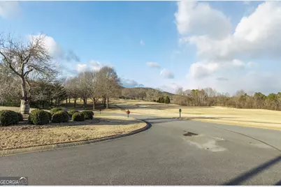 373 McIntosh Road, Clarkesville, GA 30523 - Photo 67