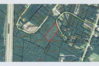 Lot 35 Lewis Lane, Townsend, GA 31331 - Photo 1