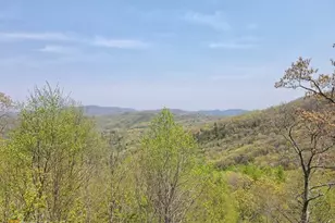 412 Bayberry Ln, Sky Valley, GA 30537 - Photo 61