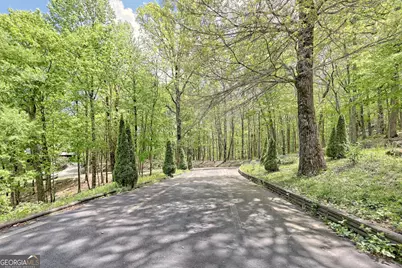 412 Bayberry Lane, Sky Valley, GA 30537 - Photo 49