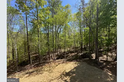 66 Pine Creek Court #LOT 73, Dallas, GA 30157 - Photo 21