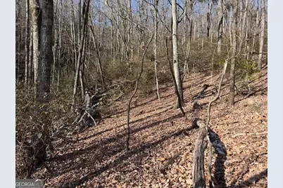 Lt 1502 Raspberry Lane, Clarkesville, GA 30523 - Photo 11