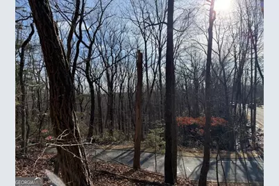 Lt 1502 Raspberry Lane, Clarkesville, GA 30523 - Photo 5