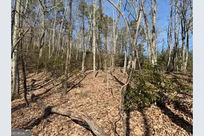 Lt 1502 Raspberry Lane, Clarkesville, GA 30523 - Photo 3