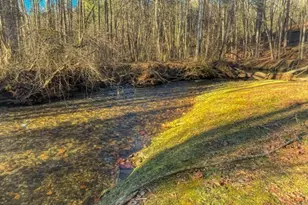 188 Clear Creek Valley Dr, Ellijay, GA 30536 - Photo 49