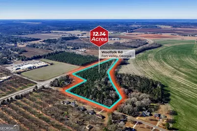 0 Woolfolk Road, Fort Valley, GA 31030 - Photo 3