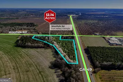 0 Woolfolk Road, Fort Valley, GA 31030 - Photo 1