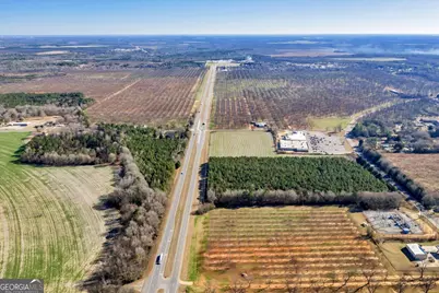 0 Woolfolk Road, Fort Valley, GA 31030 - Photo 5