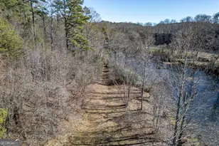 661 Toccoa River Forest, Mineral Bluff, GA 30559 - Photo 59