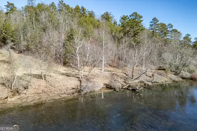 661 Toccoa River Forest, Mineral Bluff, GA 30559 - Photo 45